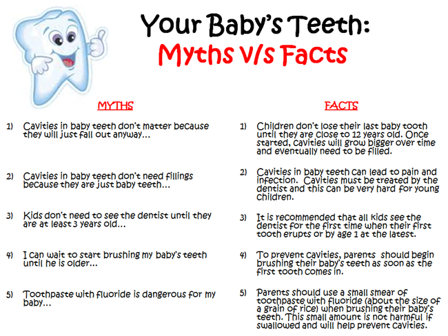 Your Baby's Teeth: Myth vs Fact