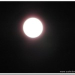 IMG_5283 IMG_5283