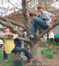 kids climbing