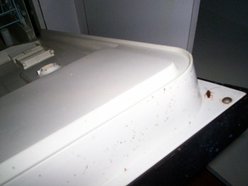 Roaches In Dishwasher