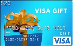 20 Dollar VISA Gift Card