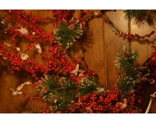 article-new-intro-modal_ehow_images_a07_ca_q2_make-cranberry-wreath-800x800