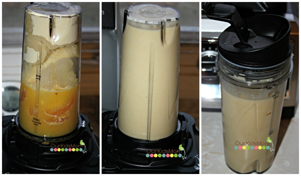 Holiday Gift Guide 2013 Ninja Ultima Blender