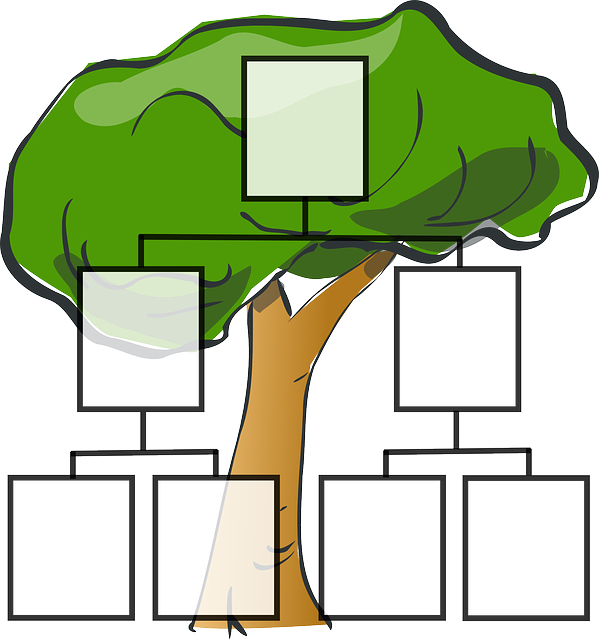 family-tree-297812_640