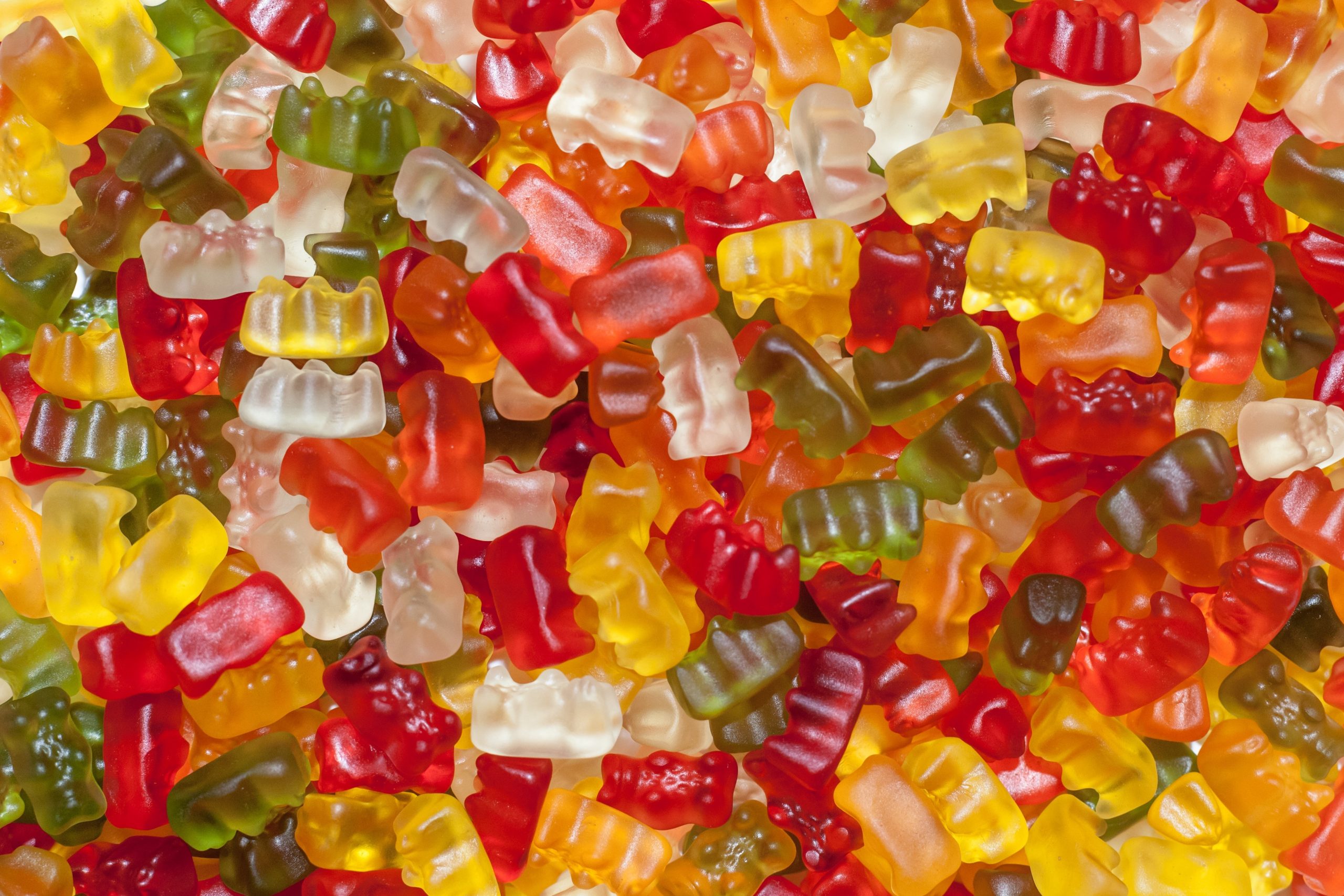 How To Choose The Best CBD Gummies OurKidsMom